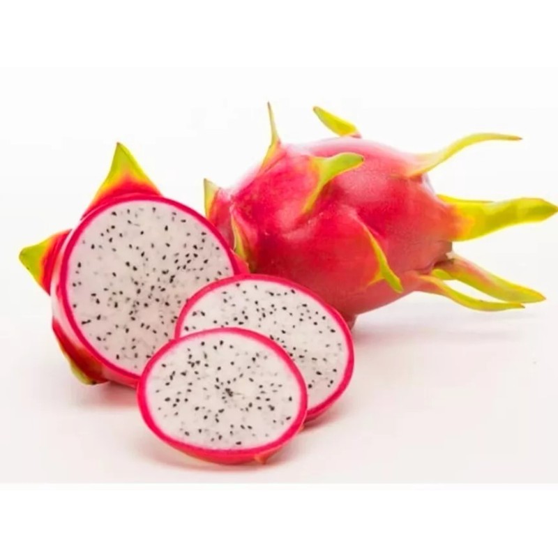 Seed-Top 250 Dragon Seeds Mix Pitahaya Rare varieties pitaya Easily