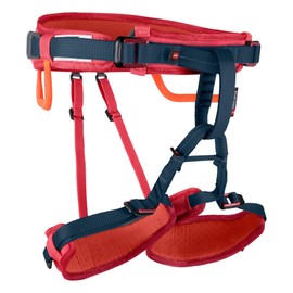 , color:barberry, size:one size