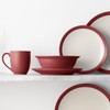 Noritake Colorwave Raspberry 16-Piece Set - Curve, Service for 4