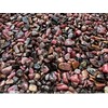 GAF TREASURES Rhodonite Chips C Natural Mini Rhodonite Stones, Crushed