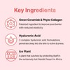 Veganifect [Veganifect]Lifting And Balancing Fig Chestnut Pore Velvet Cream 50g