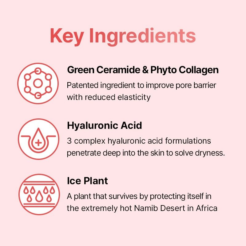 Veganifect [Veganifect]Lifting And Balancing Fig Chestnut Pore Velvet Cream 50g
