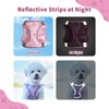 PawSailor Step-in Dog Harness Small Dogs, No Pull Adjustable Soft