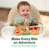 Bamboo Divided Suction Plate Baby - Strong Suction Toddler Plates