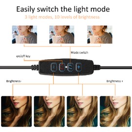 Zunate Ring Fill Light, 6 Inch Dual Color Temperature Portable Laptop LED Video Light Online Meeting Fill Lamp,for Shooting and Video Recording Video Conference Selfie Live