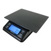 US BALANCE Mini Bench Digital Pocket Scale, 1000 x 0.1gm,