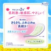 CharmNap Women's Soft Skin 3 cc Panty Liner, 6.9 inches