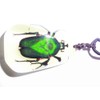SUPER SPECIAL INSECT GIFT NECKLACE PENDANT - Green Rose Chafer