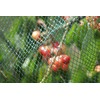 Meister Bird Protection Net – Green – 12 x 12
