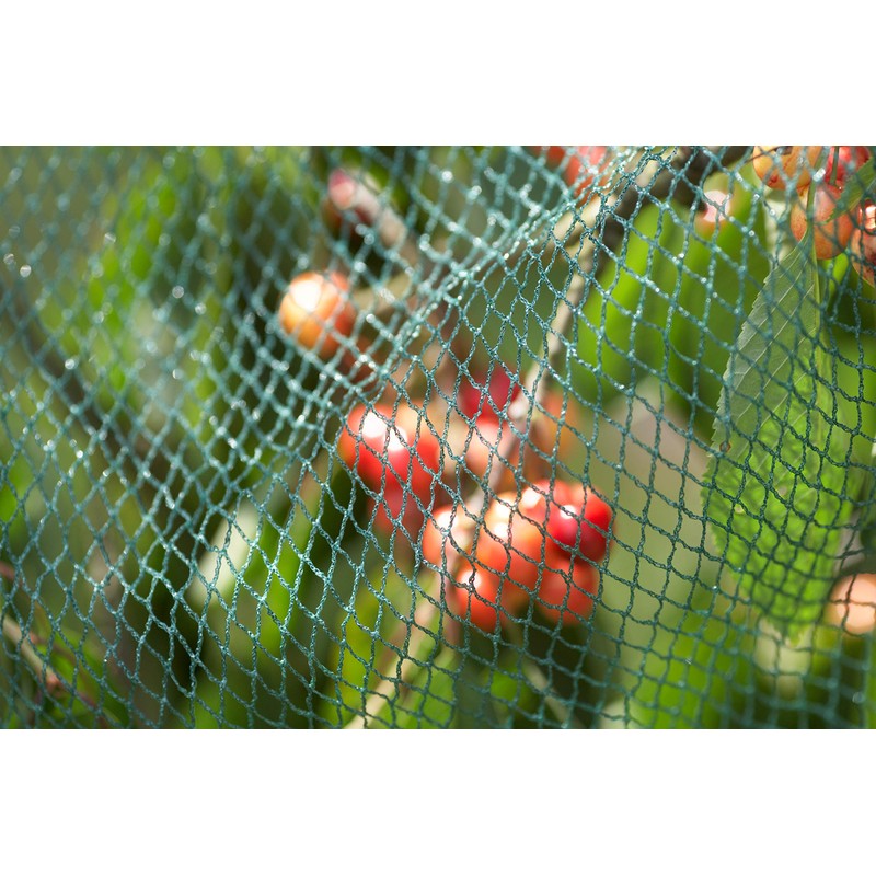 Meister Bird Protection Net – Green – 12 x 12