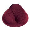 TinteAlfaparfEvolutionAlfaparftono 6.66ipara cabello