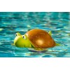 Unbranded Turtle Pool Chlorine Floater, Floating Pool Chlorine Dispenser Fits