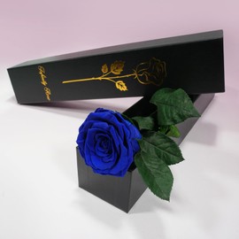 Yamonic Infinity Rose Blue with Stem Gifts for Women, Real Rose Birthday Gift for Women, Eternal Rose in Gift Box, Preserved Flower for Christmas Mum, Decorative Gift, Gifts for Mum