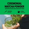 Hit The Tea Matcha Orgánico Ceremonial En Polvo 40 G
