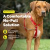 PetSafe Sure-Fit Harness - Maximum Adjustability - Soft Padded Straps