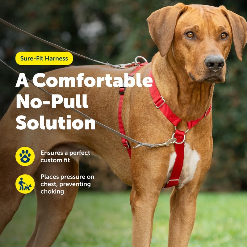 PetSafe Sure-Fit Harness - Maximum Adjustability - Soft Padded Straps