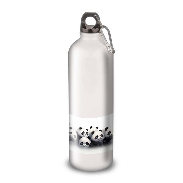 Aluminium Water Bottle - Stainless Steel (Thermos 24 Hours) Reusable
