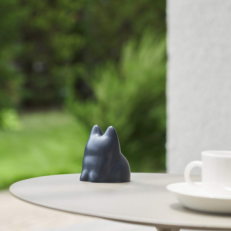 ash concept (H concept) +d Kitten Cup Bio Beige |
