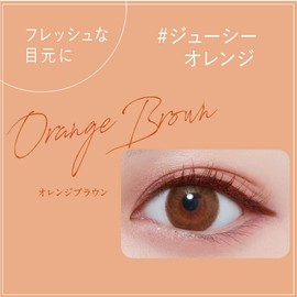 (Nuance Pearl x Smear-Proof High Color Gel Eyeliner) Gel liner blended with nuance pearls that shines casually depending on the angle [Kingdom Nuance Gel Eyeliner WP Orange Brown]