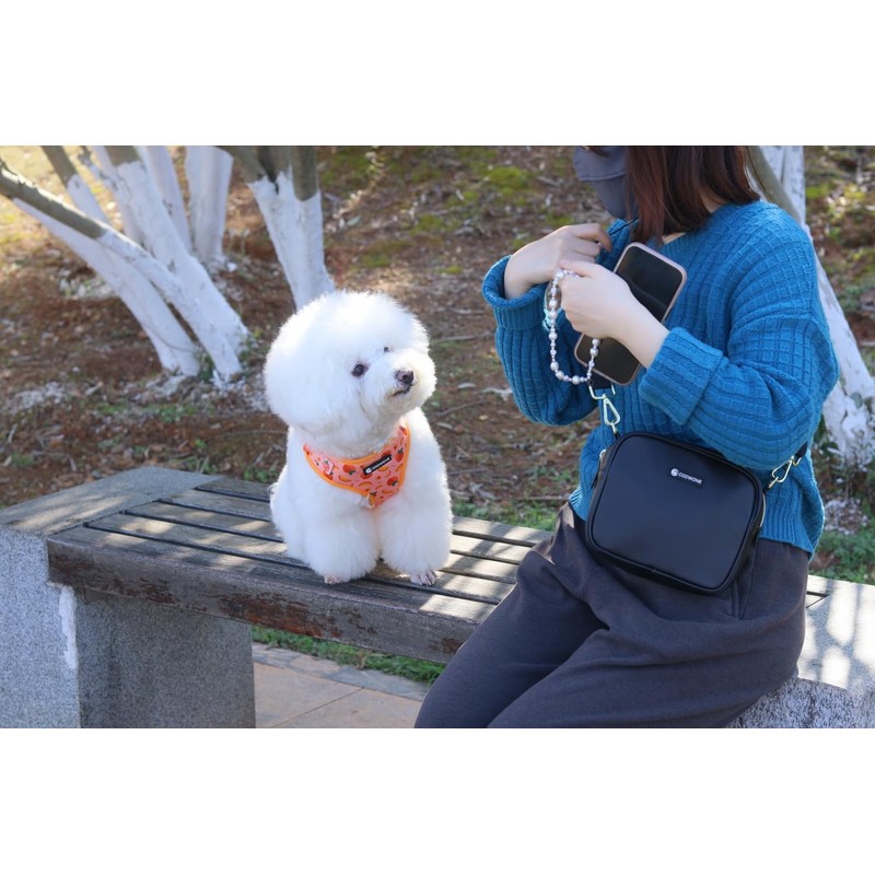 Dog Harness and Leash Set, Adjustable Dog Harness, Dog Leash,