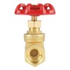 Y miko gate valve, DN15 brass gate valve BSPP G1/2