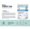 PURICA - Turkey Tail, 30 Capsules