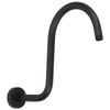 Shower Arm S Shape Gooseneck Stainless Steel Shower Head Extension