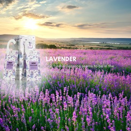 MYARO 12 Packs Lavender Large Scented Sachets for Drawer and Closet, Long-Lasting Hanging Sachet Bags Closet Deodorizer Scented Air Fresheners for Home for Lover