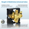 R10000-UNBX Shower Valve Replacement for Delta MultiChoice Universal Valve, 4-Port
