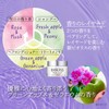 KOSE Biolis Premium Night Repair Hair Mask Treatment