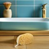 VALICLUD 2 piezas Esponja Exfoliante de Baño con Diseño de