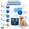 FERMENTIFLORA - Probiotici per Cani Appetibili, Fermenti Lattici Cani e