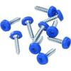 KafTon 20Pack Number Plate Fixing Fitting Oversized Screws 5x Blue,