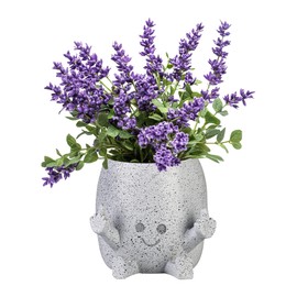 Gxdamxz Funny Flower Pots with Face for Small Plants, Grey