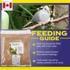 Hagen Pigeon & Dove Seed, Nutritionally Complete Bird Food 25