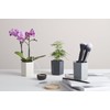 Hexagonal Bamboo Fibre Desk Pots | Pen Cup Tidy |