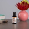 Ellia Orange Diffuser Essential Oil | 15ml, 100% Pure, Therapeutic