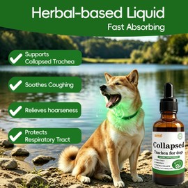 Collapsed Trachea Support for Dogs, Herbal Extract Supplement Soothe Cough & Throat Discomfort with Mullein, Slippery Elm and Olive Leaf, Glass Bottle with Precision Dropper, 1.7 oz