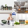 Bluelander Set de 6 Aceites Aromáticos para Difusor, Set de