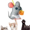 Interactive Cat Toy - Funny Cat Toys for Indoor Cats,Interactive