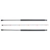 A-Premium Rear Tailgate Hatch Lift Supports Shock Struts Compatible with