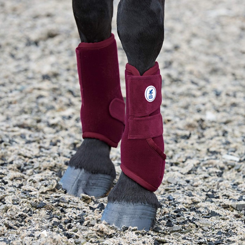 Derby House Pro Sports Exercise Boots Pony Plum