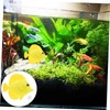 Sosoport 2 Pcs Fish Tank Artificial Fish Aquatic Simulation Decor