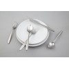 Cambridge Silversmiths Katerina Satin 20-Piece Flatware Set, Service for 4,Silver