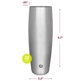 SNOWFOX Everyday Collection Insulated Stainless Steel Beer Glass with Lid, 22-ounce, Stainless Steel