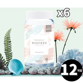 Gestalt leaf extract premium tablets, a total of 12 months’ supply / 돌외잎 추출물 프리미엄 정 총 12개월분
