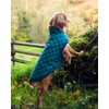 Henry Wag Quilted Dog Jacket - Stylish & Practical Dog