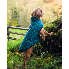 Henry Wag Quilted Dog Jacket - Stylish & Practical Dog Coat, Fleece lined, Waterproof - Teal Colour - Small (40cm)