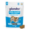 Vetnique Labs Glandex Anal Gland Soft Chew Treats with Pumpkin