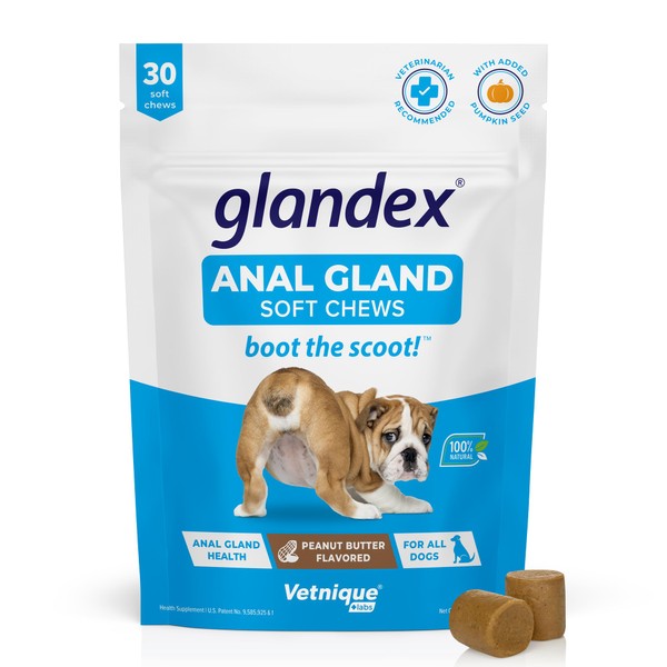 Vetnique Labs Glandex Anal Gland Soft Chew Treats with Pumpkin